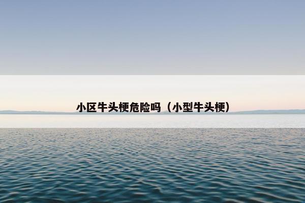 小区牛头梗危险吗（小型牛头梗）