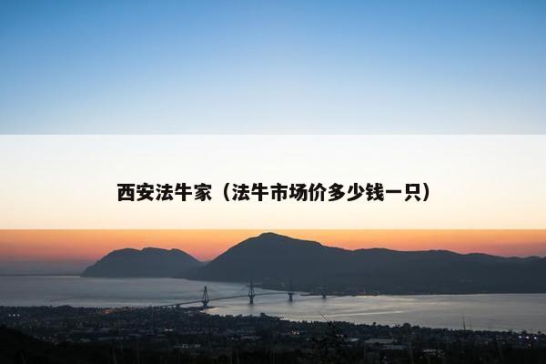 西安法牛家（法牛市场价多少钱一只）