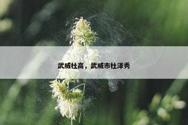 武威杜高，武威市杜泽秀