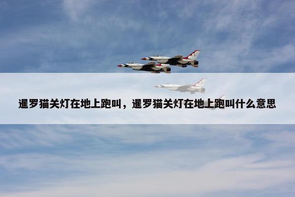 暹罗猫关灯在地上跑叫，暹罗猫关灯在地上跑叫什么意思