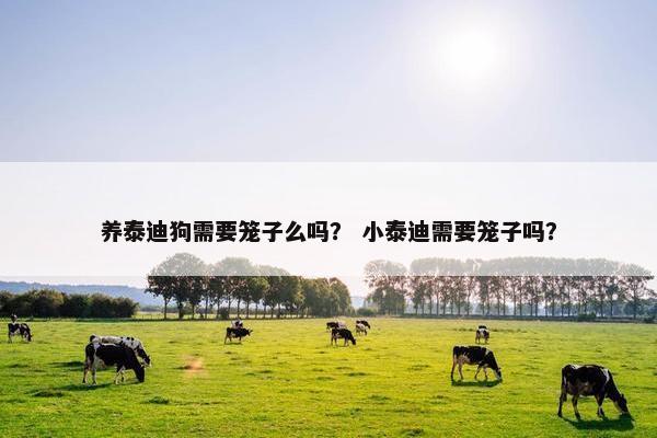 养泰迪狗需要笼子么吗？ 小泰迪需要笼子吗？