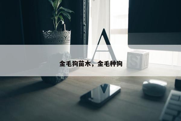 金毛狗苗木，金毛种狗