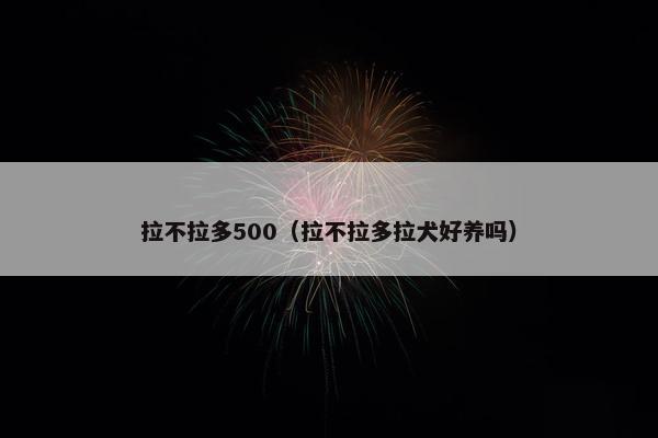 拉不拉多500（拉不拉多拉犬好养吗）