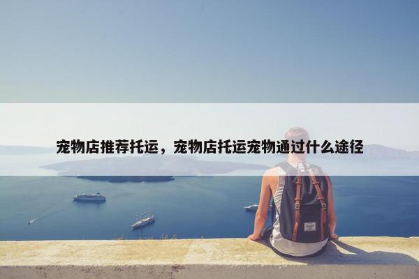 宠物店推荐托运,宠物店托运宠物通过什么途径