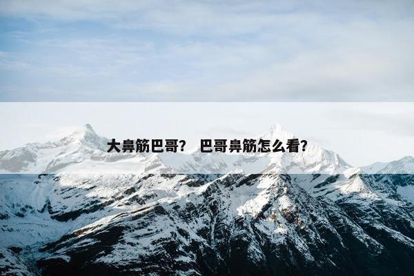 大鼻筋巴哥？ 巴哥鼻筋怎么看？