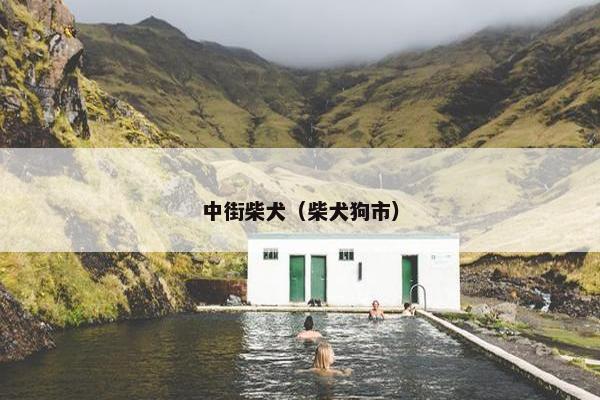 中街柴犬(柴犬狗市)