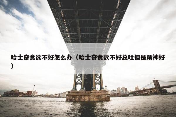 哈士奇食欲不好怎么办（哈士奇食欲不好总吐但是精神好）