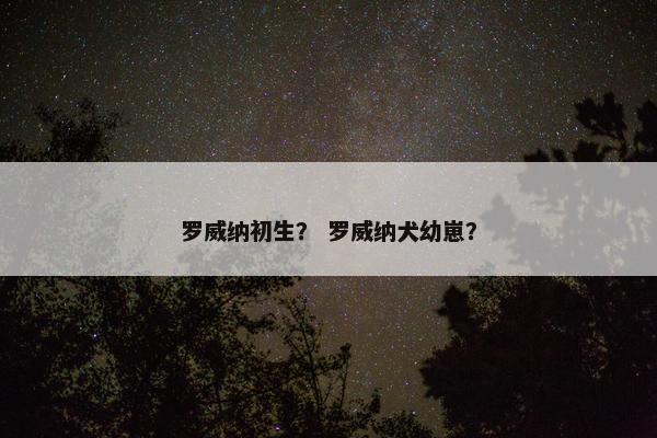 罗威纳初生？ 罗威纳犬幼崽？