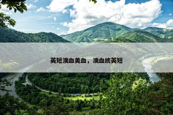 英短澳血美血，澳血统英短