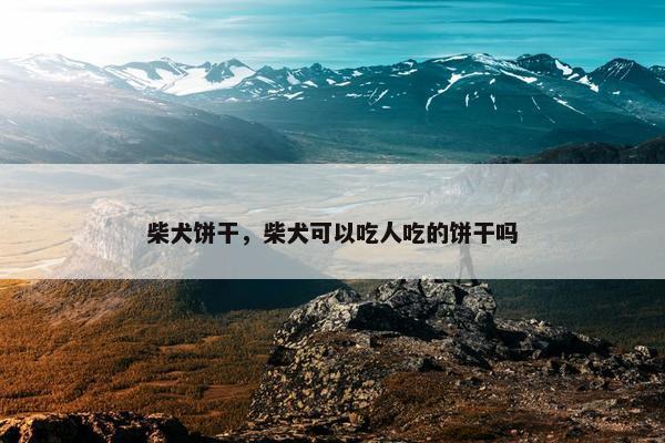 柴犬饼干，柴犬可以吃人吃的饼干吗