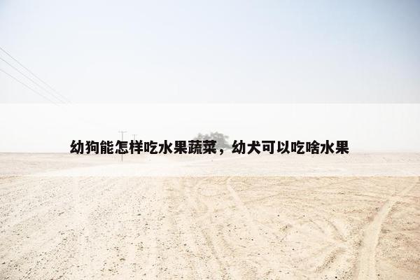 幼狗能怎样吃水果蔬菜，幼犬可以吃啥水果