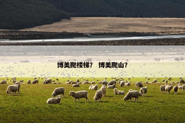 博美爬楼梯？ 博美爬山？