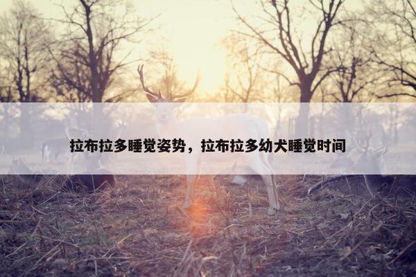 拉布拉多睡觉姿势，拉布拉多幼犬睡觉时间