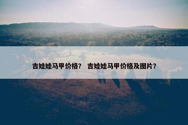 吉娃娃马甲价格？ 吉娃娃马甲价格及图片？