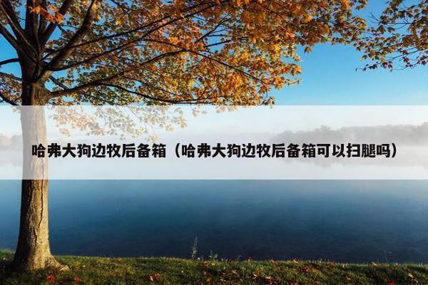 哈弗大狗边牧后备箱（哈弗大狗边牧后备箱可以扫腿吗）