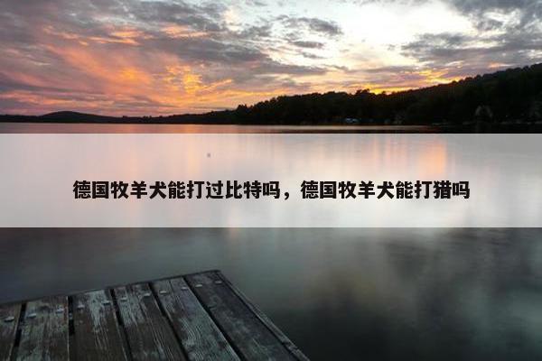 德国牧羊犬能打过比特吗，德国牧羊犬能打猎吗