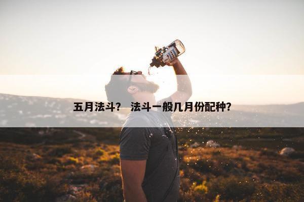五月法斗？ 法斗一般几月份配种？