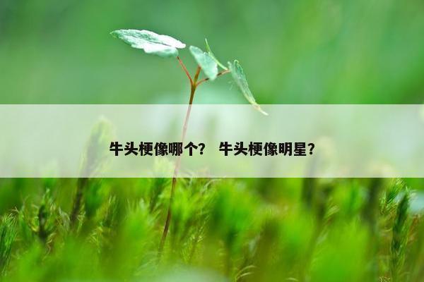 牛头梗像哪个？ 牛头梗像明星？