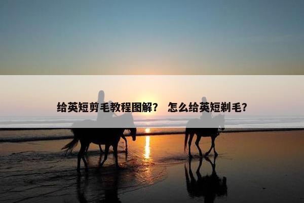给英短剪毛教程图解？ 怎么给英短剃毛？