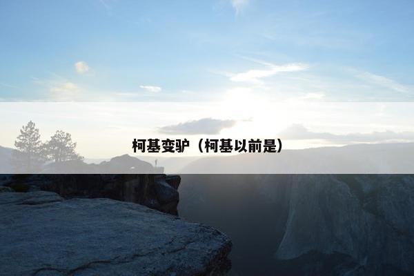 柯基变驴（柯基以前是）