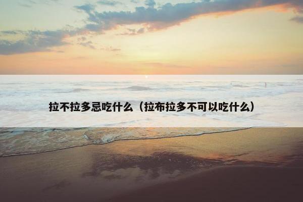 拉不拉多忌吃什么（拉布拉多不可以吃什么）