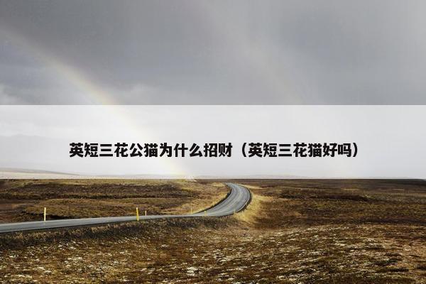 英短三花公猫为什么招财（英短三花猫好吗）