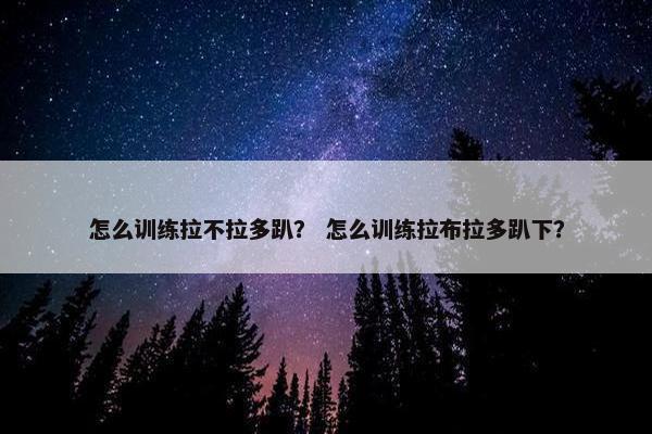 怎么训练拉不拉多趴？ 怎么训练拉布拉多趴下？