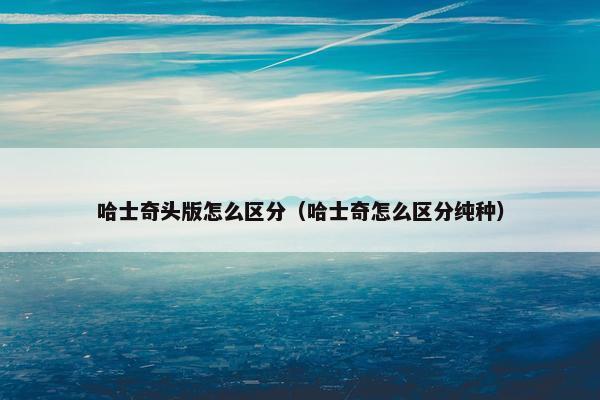 哈士奇头版怎么区分（哈士奇怎么区分纯种）