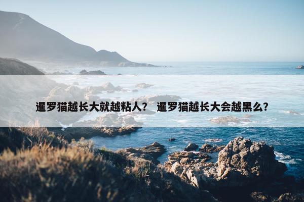 暹罗猫越长大就越粘人？ 暹罗猫越长大会越黑么？