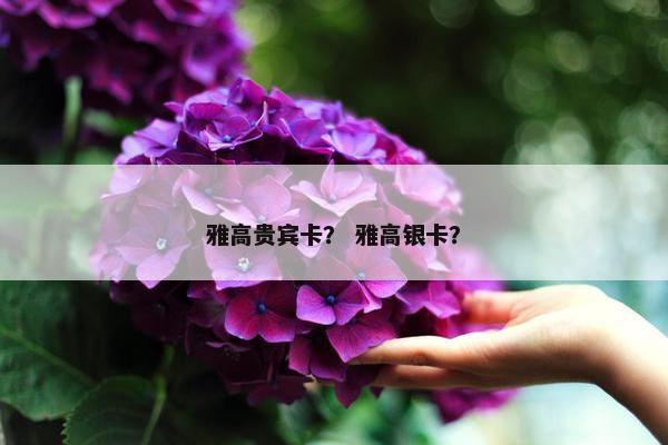 雅高贵宾卡？ 雅高银卡？