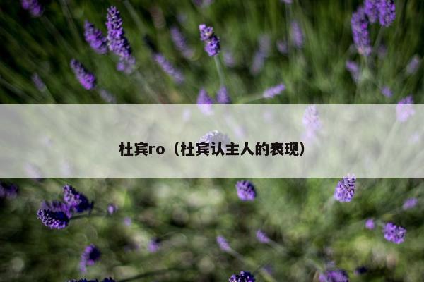 杜宾ro（杜宾认主人的表现）