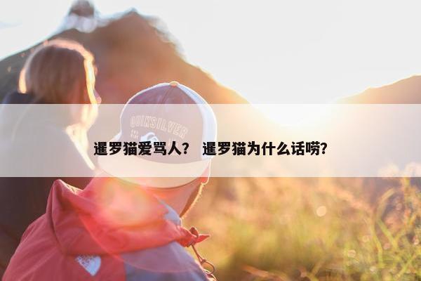 暹罗猫爱骂人？ 暹罗猫为什么话唠？