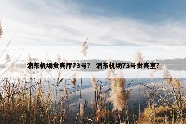 浦东机场贵宾厅73号？ 浦东机场73号贵宾室？