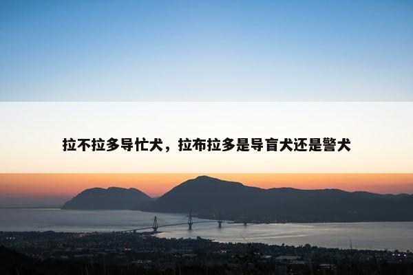 拉不拉多导忙犬，拉布拉多是导盲犬还是警犬