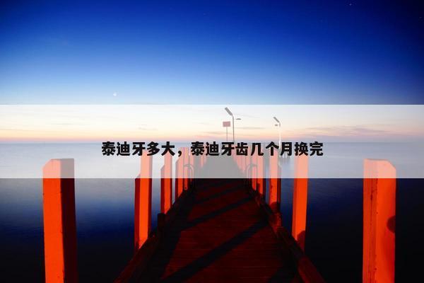 泰迪牙多大，泰迪牙齿几个月换完