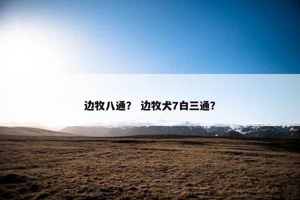 边牧八通？ 边牧犬7白三通？