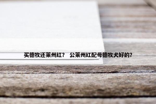 买德牧还莱州红？ 公莱州红配母德牧犬好的？