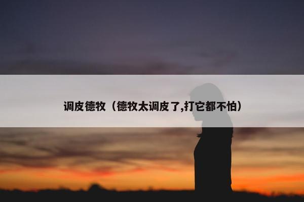 调皮德牧（德牧太调皮了,打它都不怕）