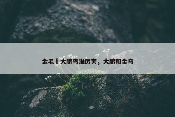 金毛犼大鹏鸟谁厉害，大鹏和金乌