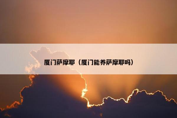 厦门萨摩耶（厦门能养萨摩耶吗）
