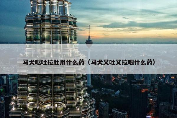 马犬呕吐拉肚用什么药(马犬又吐又拉喂什么药) 马犬呕吐拉肚用什么药(马犬又吐又拉喂什么药)