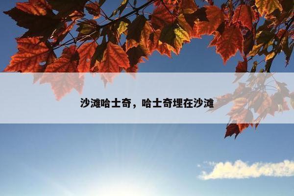 沙滩哈士奇，哈士奇埋在沙滩