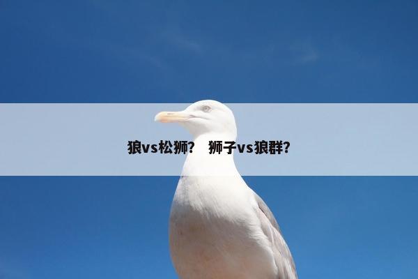 狼vs松狮？ 狮子vs狼群？