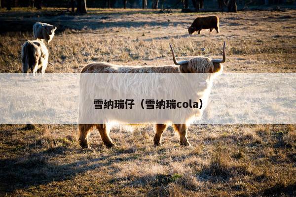 雪纳瑞仔（雪纳瑞cola）