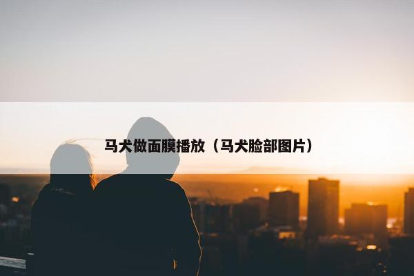 马犬做面膜播放（马犬脸部图片）