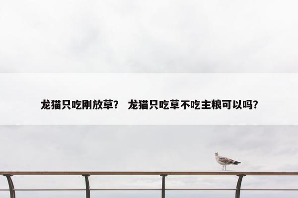 龙猫只吃刚放草？ 龙猫只吃草不吃主粮可以吗？