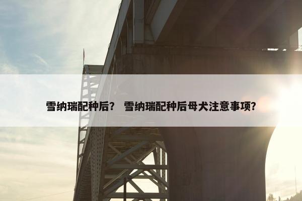 雪纳瑞配种后？ 雪纳瑞配种后母犬注意事项？