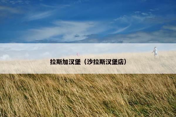 拉斯加汉堡（沙拉斯汉堡店）