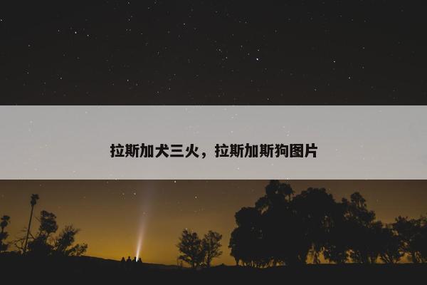 拉斯加犬三火，拉斯加斯狗图片