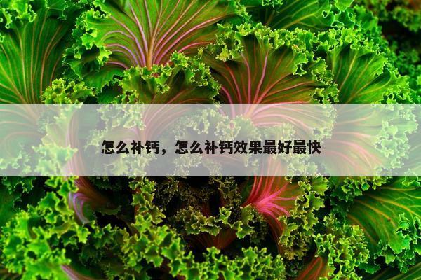 怎么补钙，怎么补钙效果最好最快